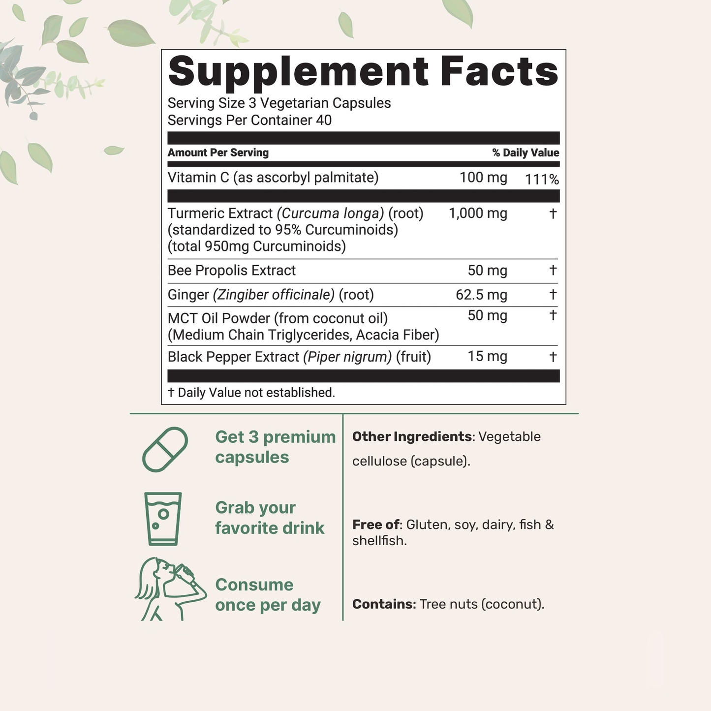 Anti-Inflammatory Turmeric Curcumin - 120 Capsules