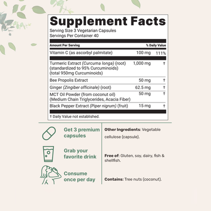 Anti-Inflammatory Turmeric Curcumin - 120 Capsules