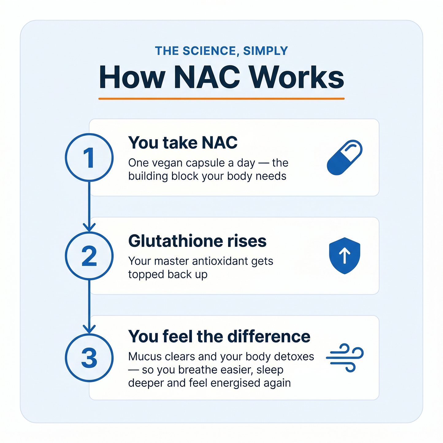 NAC Detox Complex (30 Capsules)