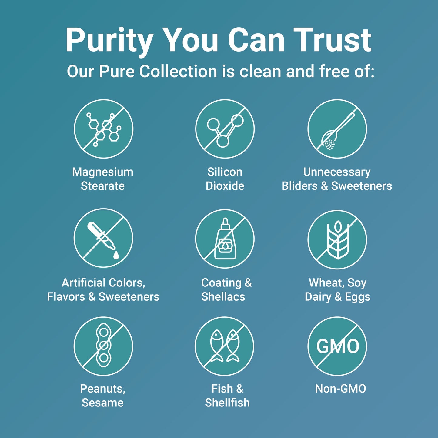 Anti-Inflammatory Turmeric Curcumin - 120 Capsules