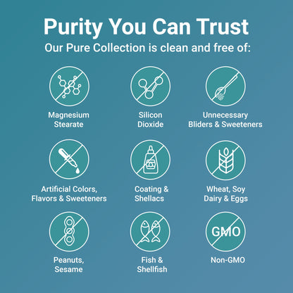 Anti-Inflammatory Turmeric Curcumin - 120 Capsules